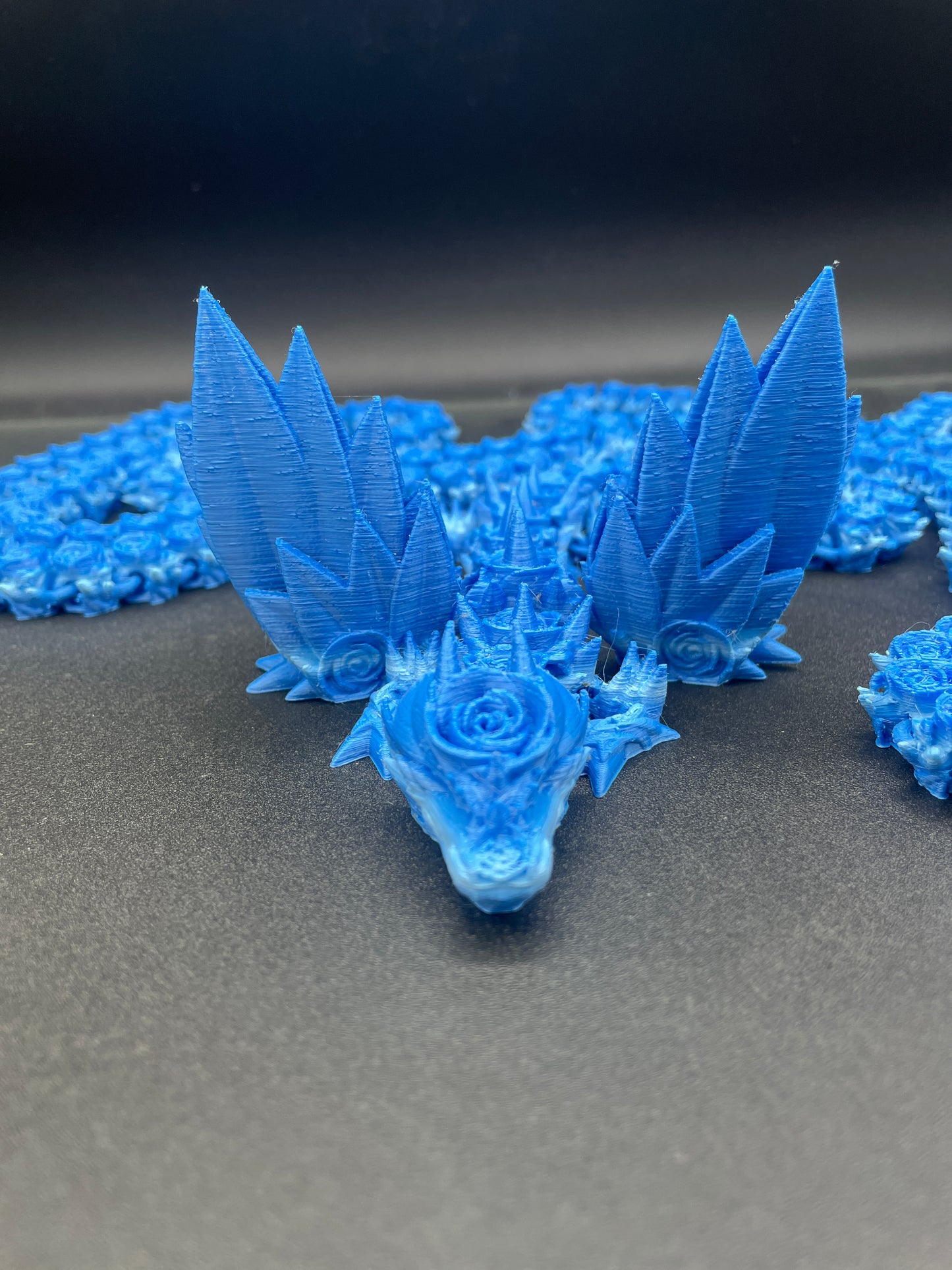 Long Tail Dragons